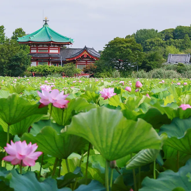 不忍池と辯天堂